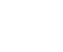Vector